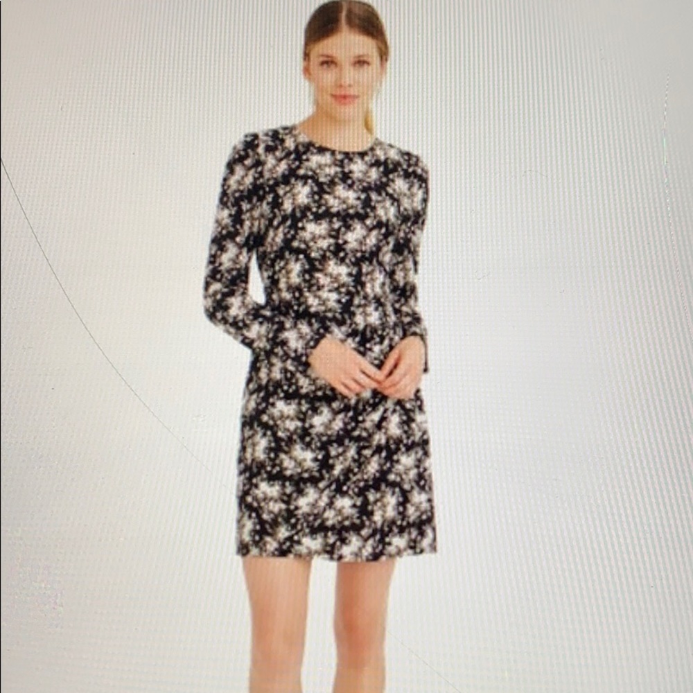 Club Monaco 100% Silk Amelda Dress